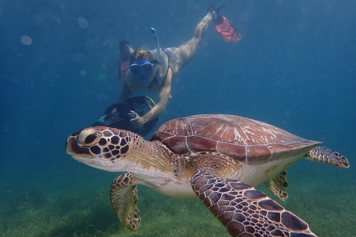 Turtle Beach Power Snorkeling Adventure - Photo 1 of 25